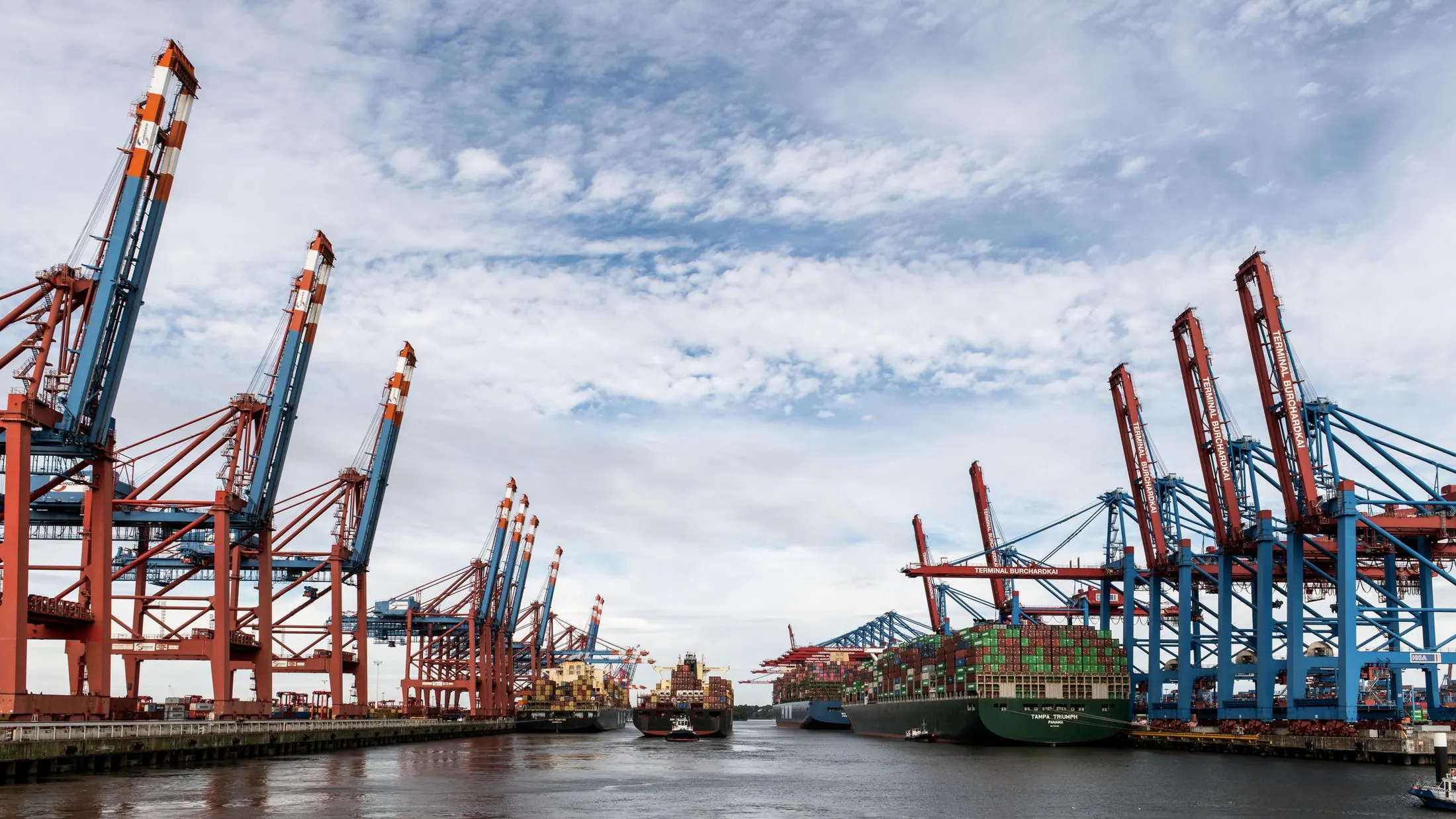 Container terminal with cranes loading ships, representing the physical supply chain behind procurement